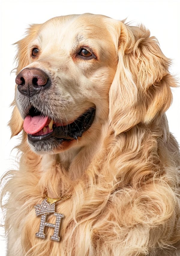 Icemond Dog Necklace Rhinestone Pendant 18 Inch Cuban Chain-6