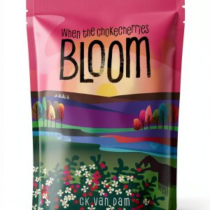 Pasque Publishing Western Historical Fiction Kindle Book-0