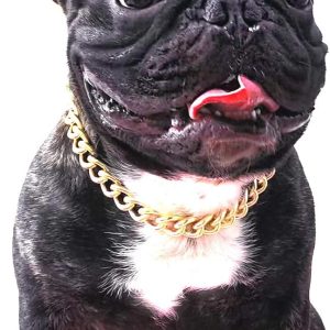 PP COLOR Gold Dog Collar Lightweight Metal Adjustable Chain-0