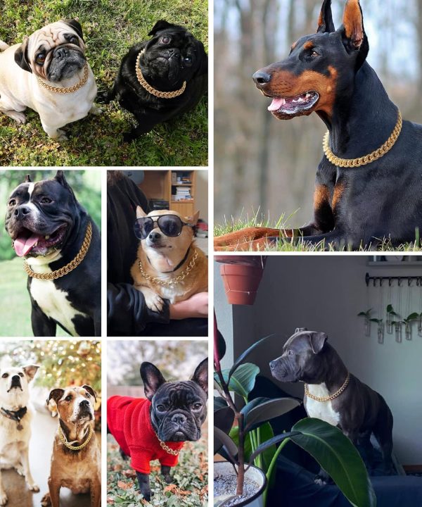 PP COLOR Gold Dog Collar Lightweight Metal Adjustable Chain-4
