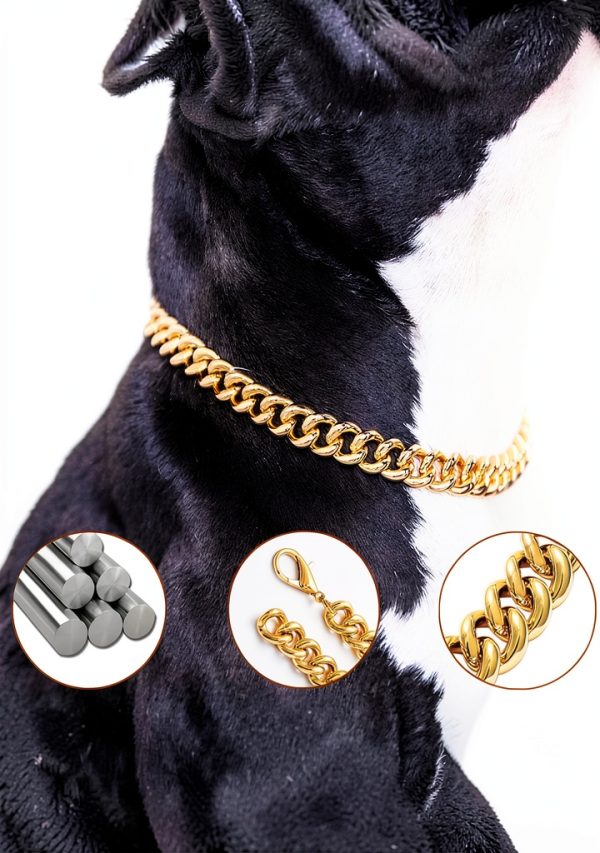 PP COLOR Gold Dog Collar Lightweight Metal Adjustable Chain-5