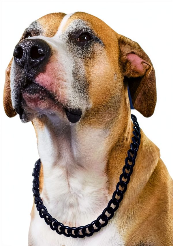 PP COLOR Cuban Link Dog Collar Gold Black Chain Pet-0
