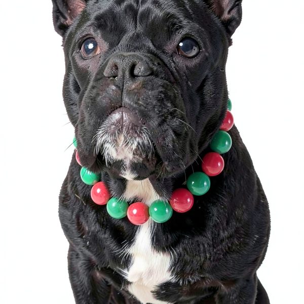 Dog Pearl Necklace RayMinsino Adjustable Green Red-1