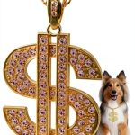 FUNKA Dog Chain Necklace Pet Accessory-0