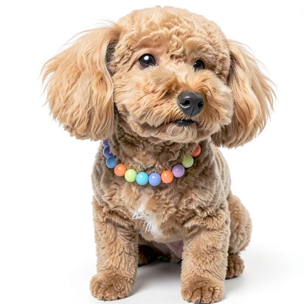 Dog Pearl Necklace by RayMinsino Pet Supplies-2