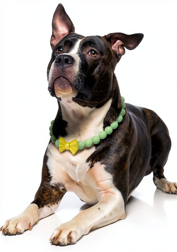 Glow Dog Necklace JOGIA Handcrafted Beaded-1