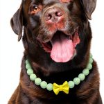 Glow Dog Necklace JOGIA Handcrafted Beaded-0