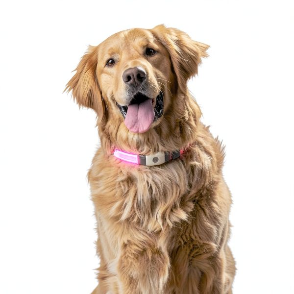 LED Dog Collar Nite Ize Rechargeable Necklace-7