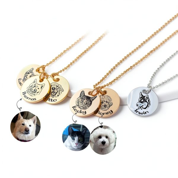Anavia Personalized Pet Portrait Necklace Silver 3-Disc Gold Plated-1