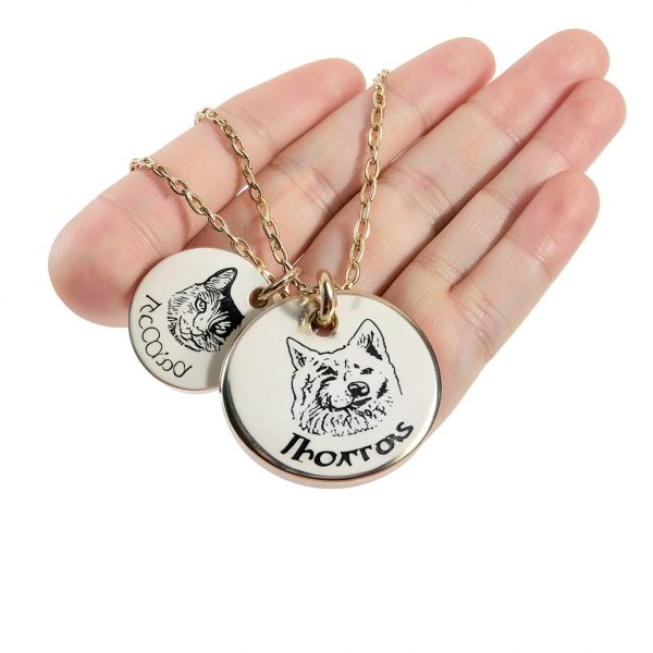 Anavia Personalized Pet Portrait Necklace Silver 3-Disc Gold Plated-4