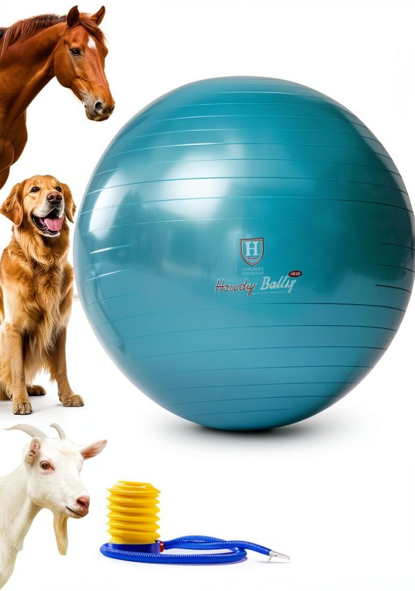 Harrison Howard Horse Play Ball Burst‑Proof Exercise Toy Non‑Slip 12.6-0