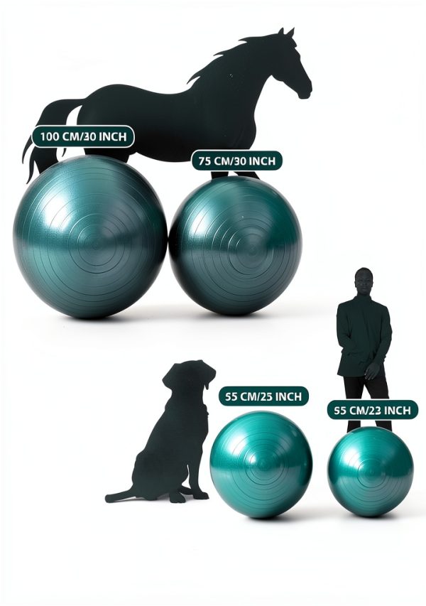 Harrison Howard Horse Play Ball Burst‑Proof Exercise Toy Non‑Slip 12.6-4