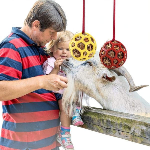 Goat Feeder Hanging Toy by FFOTD – Durable TPR Ball (Red & Yellow)-3