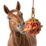 Carrot Feed Toy Hanging Treat Ball by vomvomp for Horses Net Design-0