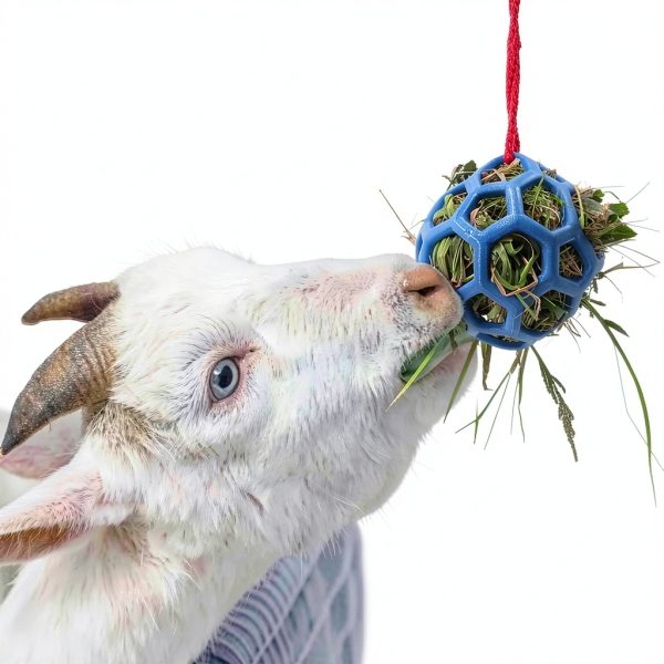2 Pack 5.5inch Horse Treat Ball Hay Feeder Toy Ball Avoid Boredom Hanging for Goat Sheep Relieve Stress Horse-1