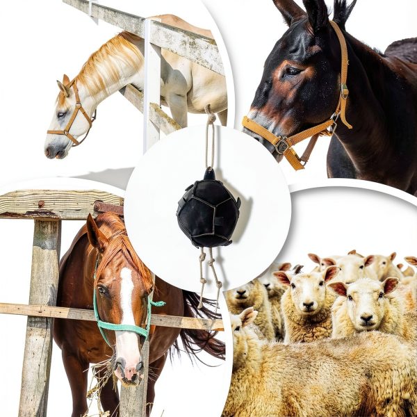 Horse Treat Ball Carrot Feeder 55x25cm Slow Feed Toy by Generic-8
