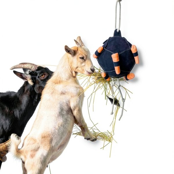 Horse Carrot Feeding Ball Toy Slow Feed Training Ball for Horses-5