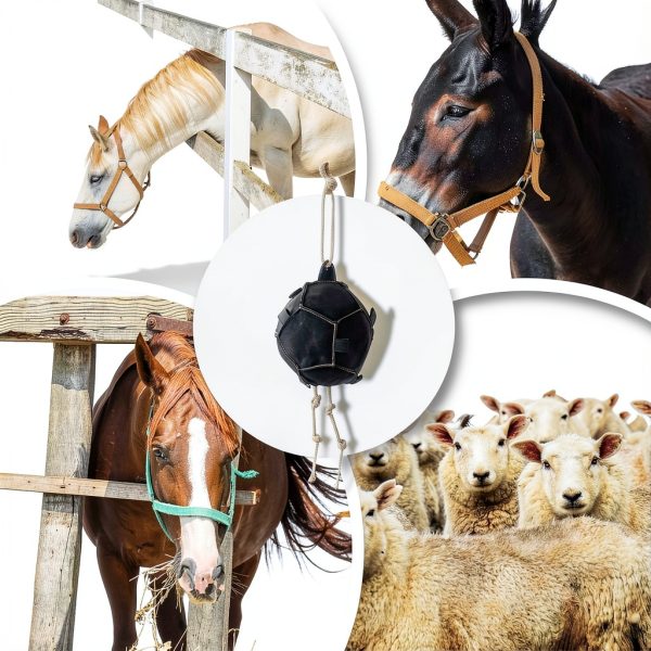 Horse Carrot Feeding Ball Toy Slow Feed Training Ball for Horses-6