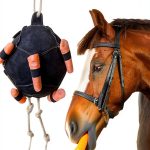 Horse Treat Ball Carrot Feeder 55x25cm Slow Feed Toy by Generic-0