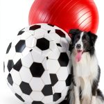 Herding Ball 20" Large by Juome Dog Toy with Cover and Hand Pump-0
