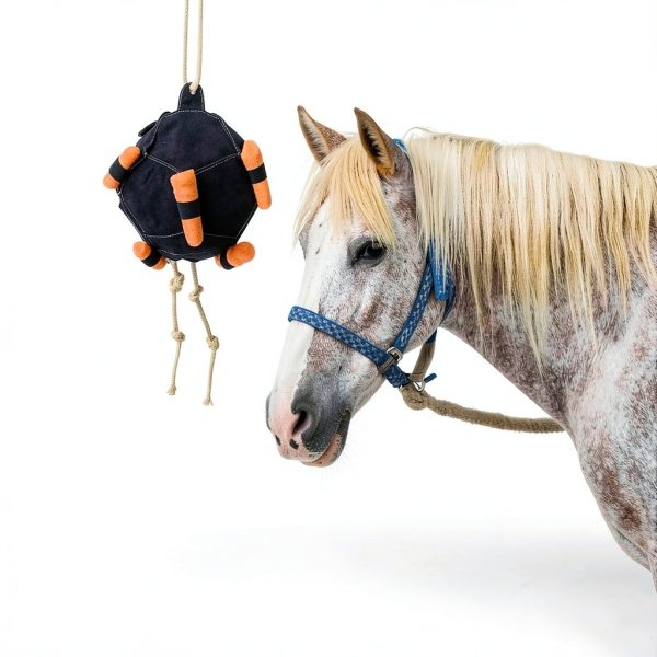 Horse Treat Ball Carrot Feeder 55x25cm Slow Feed Toy by Generic-6