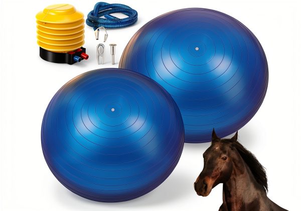 Sotiff 2 Pcs 25 Inch Large Horse Ball for Play Herding Horse Ball for Anti Burst Soccer Toys, Pump Included-0
