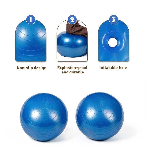 Sotiff 2 Pcs 25 Inch Large Horse Ball for Play Herding Horse Ball for Anti Burst Soccer Toys, Pump Included-2