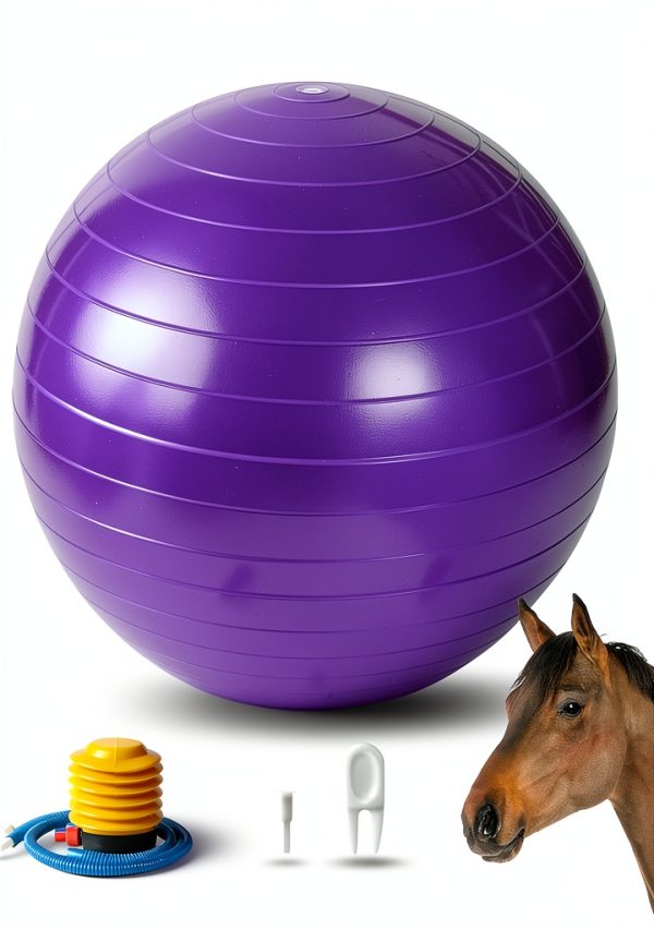 Horse Play Balls 30 Inch Mega Equine Ball by RideFound Purple-0